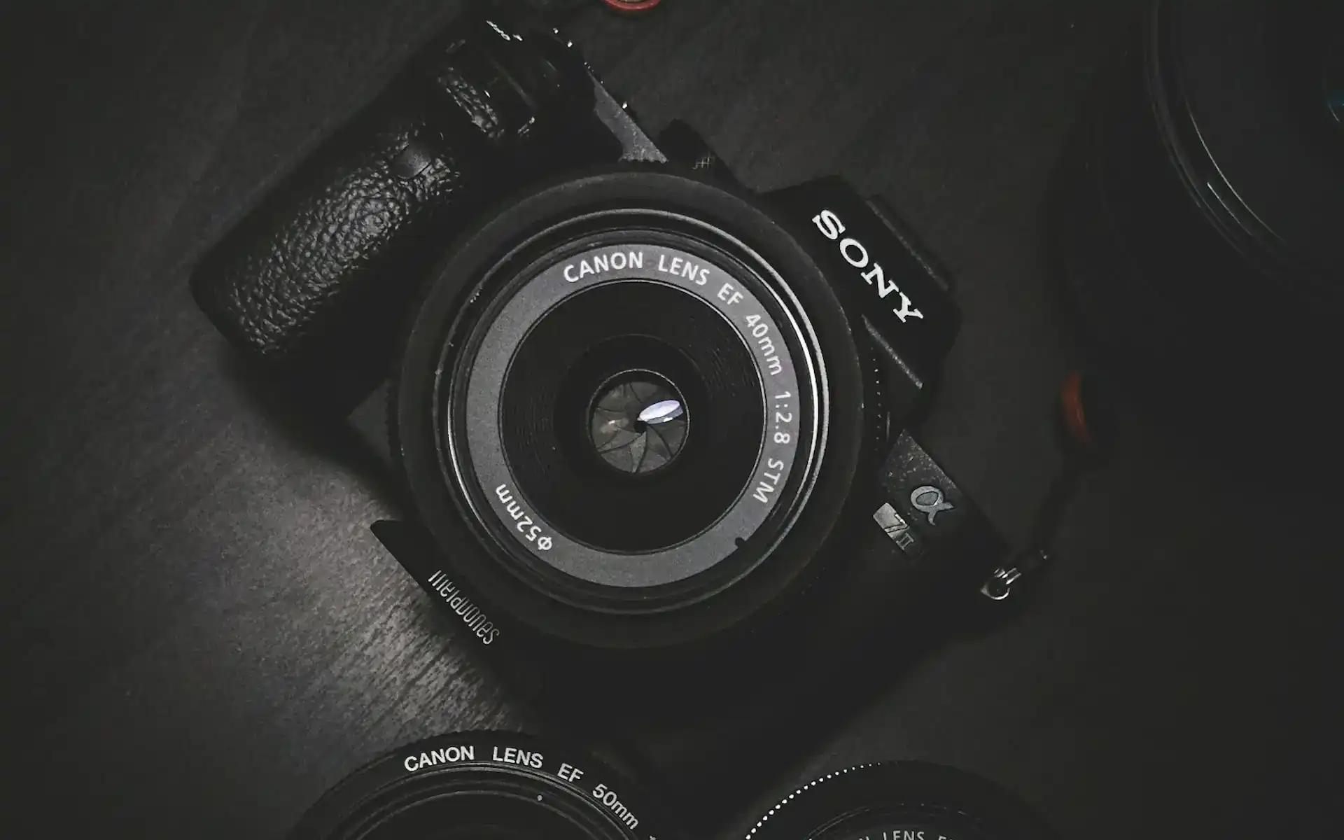 Camera ready for a photo session